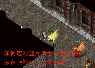 ���Ӧ�����´�������������ٻ�������ʿ��ͻϮ��