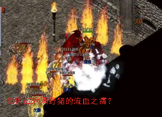���Ӧ�Ժ�Ұ������Ѫ֮ʹ��