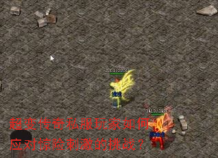 ���䴫��˽��������Ӧ�Ծ��մ̼�����ս��