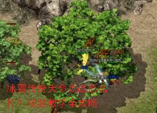 ��ѩ��������֮ս��ô����Ƶ��ѧȫ����