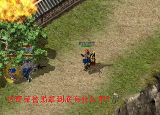��������ѫ�µ�����ʲô�ã�