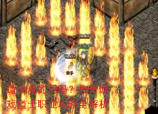 ��ʿ������𣿴�����Ϸ��ʿְҵ����ȫ����