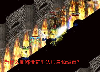 Ϊʲô�ུ����﷨ʦ�����̶���