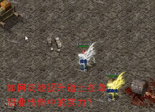 ��θ�Ч������ʿ�ڵ�ְҵ�����е�ʵ����