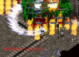 ��γɹ����붥���л᣿