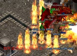 ��γɹ����붥���л᣿