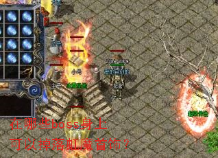 ����Щboss���Ͽ��Ե����ħ���Σ�