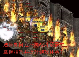 ��ʦ����ڲ�ͬս�����������ռ��ɲ�������Ϸ���飿