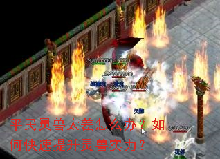 ƽ������̫����ô�죿��ο�����������ʵ����
