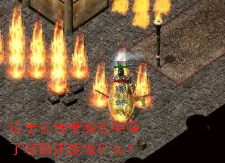 ��ʿ�ڴ�����Ϸ�г��˸���������ʲô��