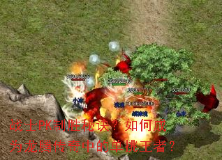 սʿPK��ʤ�ؾ�����γ�Ϊ���ڴ����еĵ������ߣ�