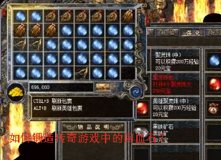 ��ζ��촫����Ϸ�еĻ�Ѫʯ��
