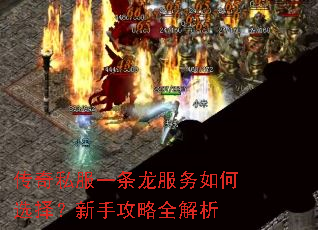 ����˽��һ�����������ѡ�����ֹ���ȫ����
