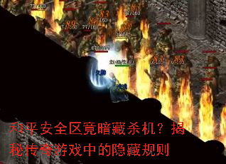 ��ƽ��ȫ��������ɱ�������ش�����Ϸ�е����ع���