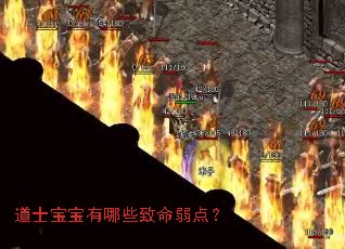 ��ʿ��������Щ�������㣿