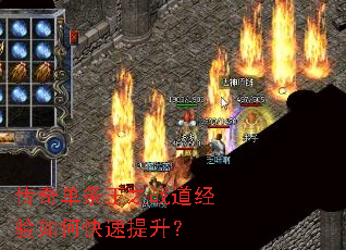 ���浥����֮ս��������ο���������