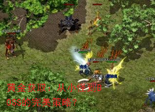 �ƽ��ȡ����С�ֵ�BOSS���������ԣ�