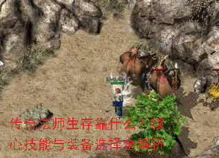 ���淨ʦ���濿ʲô�����ļ�����װ��ѡ��ȫ����