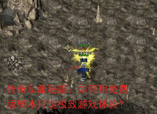 ����˽���ؼ����������Ѱ�ű����켫����Ϸ���飿