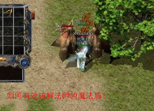 �����Ч�ƽⷨʦ��ħ���ܣ�