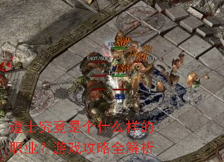 ��ʿ�����Ǹ�ʲô����ְҵ����Ϸ����ȫ����