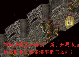 ��ο��������ȼ������ֿ��ָ�ѡʲôְҵ��װ�����ʵ���ô�죿