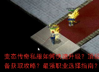 ��̬����˽����ο�������������װ����ȡ���ԣ���ǿְҵѡ��ָ�ϣ�