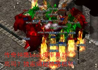 ������ӥboss������ĸ��𣿶��ҽ��ص������