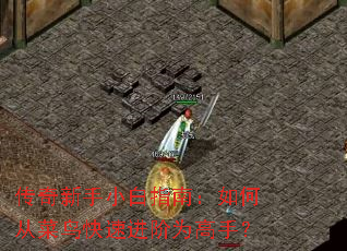 传奇新手小白指南:如何从菜鸟快速进阶为高手? 传奇新手小白指南:如何从菜鸟快速进阶为高手?