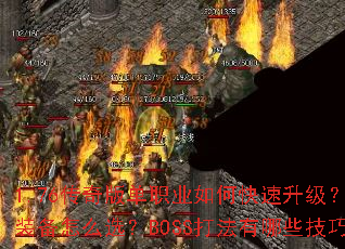 1.76����浥ְҵ��ο���������ְҵװ����ôѡ��BOSS������Щ���ɣ�