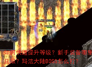 如何快速提升等级?新手装备哪里获取?玛法大陆BOSS怎么打? 如何快速提升等级?新手装备哪里获取?玛法大陆BOSS怎么打?