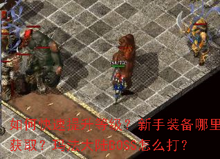 如何快速提升等级?新手装备哪里获取?玛法大陆BOSS怎么打? 如何快速提升等级?新手装备哪里获取?玛法大陆BOSS怎么打?