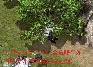 传奇私服新手入门全攻略?如何从零开始轻松称霸江湖? 传奇私服新手入门全攻略?如何从零开始轻松称霸江湖?