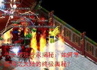 ������Ϸר�ҽ��أ���������귨��½���ռ����أ�