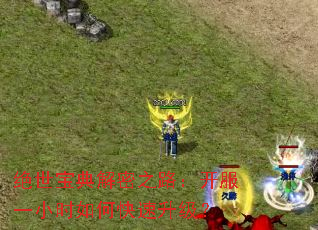 绝世宝典解密之路:开服一小时如何快速升级? 绝世宝典解密之路:开服一小时如何快速升级?