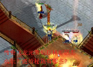 传奇飞龙元素仙踪林新区怎么玩?进阶秘籍有哪些? 传奇飞龙元素仙踪林新区怎么玩?进阶秘籍有哪些?