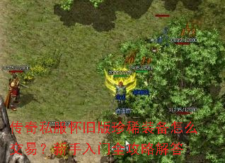 传奇私服怀旧版珍稀装备怎么交易?新手入门全攻略解答 传奇私服怀旧版珍稀装备怎么交易?新手入门全攻略解答