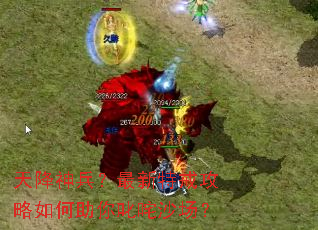 �콵����������ؽ乥���������߳��ɳ����