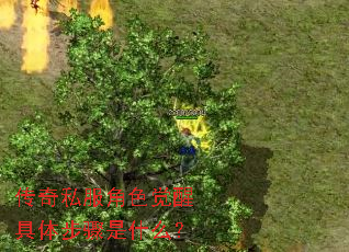 ����˽����ɫ���Ѿ��岽����ʲô��