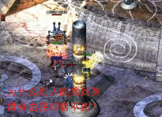 为什么别人能看到英雄合击我却看不到? 为什么别人能看到英雄合击我却看不到?