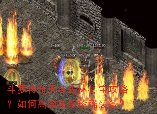 斗罗传奇天斗森林打宝攻略?如何高效获取珍稀装备? 斗罗传奇天斗森林打宝攻略?如何高效获取珍稀装备?