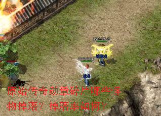 原始传奇勋章碎片哪些怪物掉落?掉落率如何? 原始传奇勋章碎片哪些怪物掉落?掉落率如何?