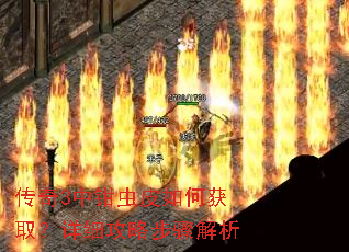 传奇3中钳虫皮如何获取?详细攻略步骤解析 传奇3中钳虫皮如何获取?详细攻略步骤解析