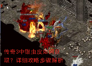 传奇3中钳虫皮如何获取?详细攻略步骤解析 传奇3中钳虫皮如何获取?详细攻略步骤解析