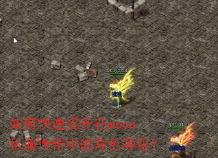 如何快速提升在moyu私服传奇中的角色等级? 如何快速提升在moyu私服传奇中的角色等级?