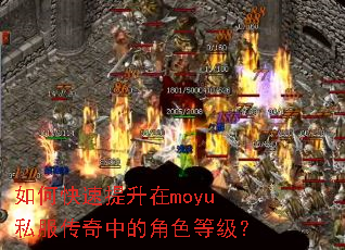 如何快速提升在moyu私服传奇中的角色等级? 如何快速提升在moyu私服传奇中的角色等级?