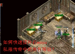 如何快速提升在moyu私服传奇中的角色等级? 如何快速提升在moyu私服传奇中的角色等级?