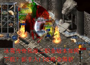 ��ѩ����˽����ְҵ�汾������أ��������Ź���ȫ����