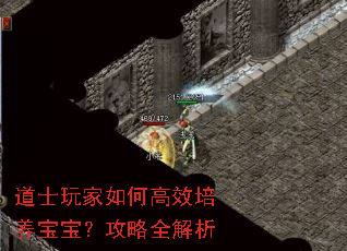 道士玩家如何高效培养宝宝?攻略全解析 道士玩家如何高效培养宝宝?攻略全解析