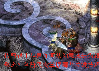 传奇道士神兽如何从幼崽成长为终极形态?各阶段需掌握哪些关键技巧? 传奇道士神兽如何从幼崽成长为终极形态?各阶段需掌握哪些关键技巧?